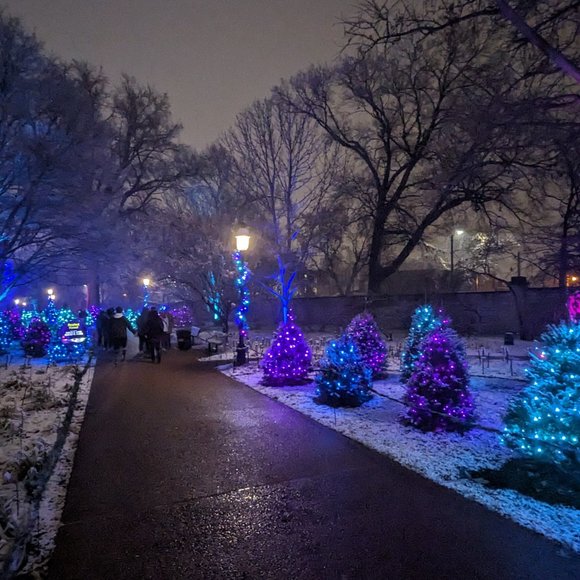 Meet your Posher, Amy - Picture 4 of 4